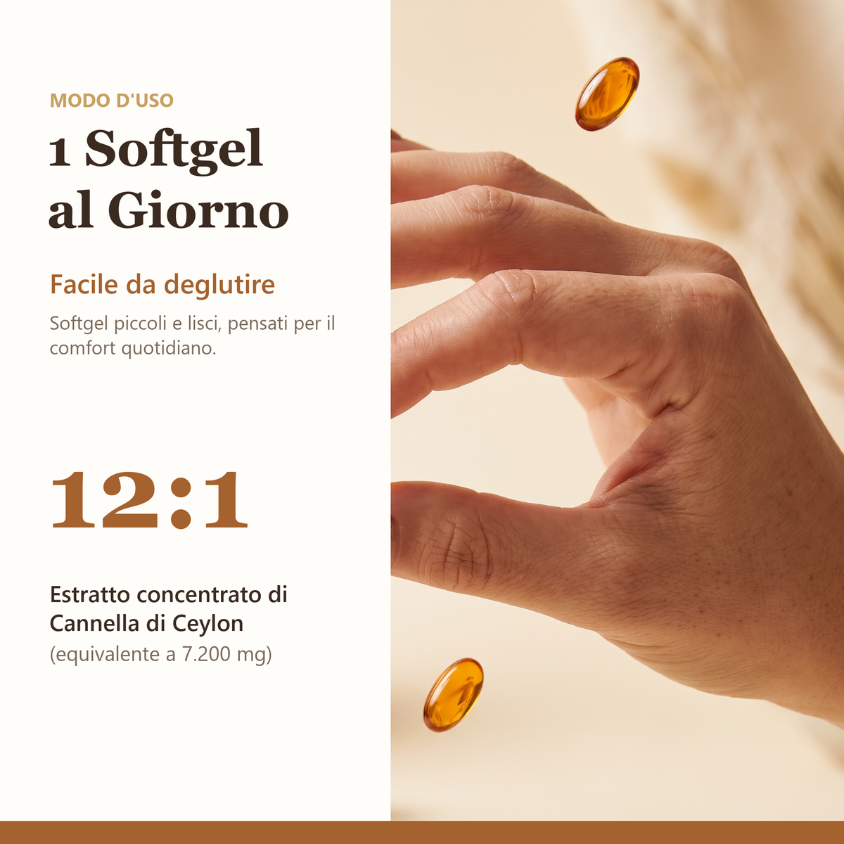 Modo d'uso: 1 softgel al giorno, estratto 12:1 facile da deglutire